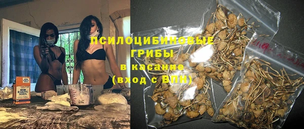 твердый Алексеевка
