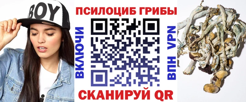 Галлюциногенные грибы прущие грибы  Тобольск 